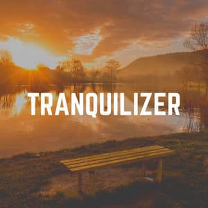 Tranquilizer - Reiki Healing Zone