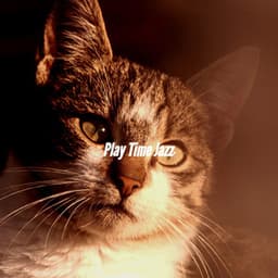 Play Time Jazz - Coffee Shop Music Deluxe