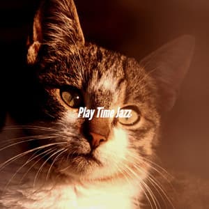 Play Time Jazz - Coffee Shop Music Deluxe