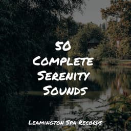50 Complete Serenity Sounds - Sol y Lluvia