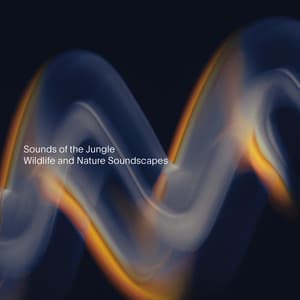 Wildlife and Nature Soundscapes - Sounds of the Jungle