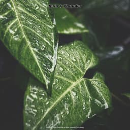 Rain & Thunder - Derrol