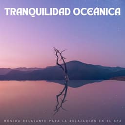 Tranquilidad Oceánica: Música Relajante Para La Relajación En El Spa - Reina del Mar