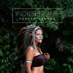 Indigenous Forest Sounds: Shamanic Drums, Native American Flute, Sounds of Nature - Native Meditation Zone