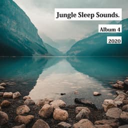 Relaxing Wave Sounds for Sleeping - Jungle Sleep Sounds