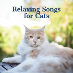 Cats Jazz | Relaxing Songs for Cats - Jazz Music for Cats