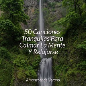 50 Canciones Tranquilas Para Calmar La Mente Y Relajarse - Yoga Music