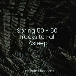 Spring 50 - 50 Tracks to Fall Asleep - Ambient