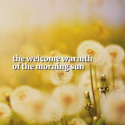 The Welcome Warmth of the Morning Sun - Natural Sound Makers