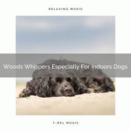 Woods Whispers Especially For Indoors Dogs - Dog Relax