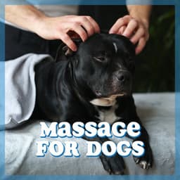 Massage for Dogs: Dog Spa Therapy, Dog Relaxation, Treatment for Dog Anxiety & Stress - Pets Lover Artist