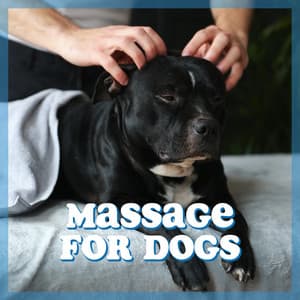 Massage for Dogs: Dog Spa Therapy, Dog Relaxation, Treatment for Dog Anxiety & Stress - Pets Lover Artist