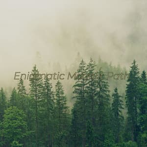 Enigmatic Moonlit Path - Woodland Friends