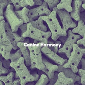 Canine Harmony - Dog Sleeping Soundtracks Deluxe