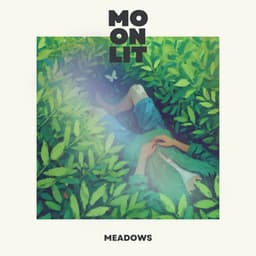 Moonlit Meadows - Ambient Chill Out Lounge