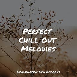 Perfect Chill Out Melodies - Bedtime Baby
