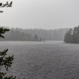 Celestial Showers: Soothing Rainfall for Tranquility - Summer Showers