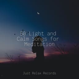 50 Light and Calm Songs for Meditation - Musica romantica instrumental