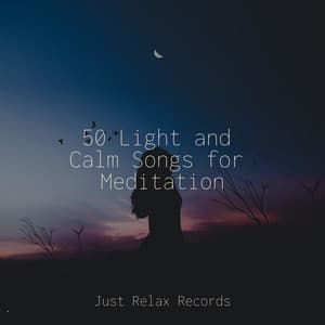 50 Light and Calm Songs for Meditation - Musica romantica instrumental