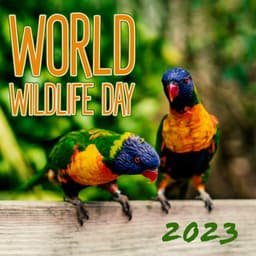 World Wildlife Day 2023 – The Nature Drawing - Celebrating Times