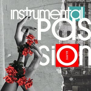 Instrumental Passion - Xavyr