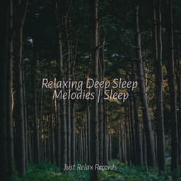 Relaxing Deep Sleep Melodies | Sleep - Calming Sounds