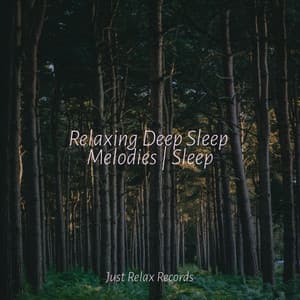 Relaxing Deep Sleep Melodies | Sleep - Calming Sounds