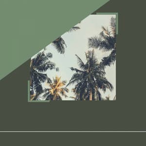 Wonderful - Relaxing Days - Lettura di Musica