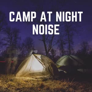 Camp At Night Noise - Ambient Nature White Noise