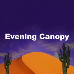 Evening Canopy - Spa