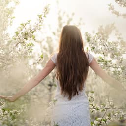 Dawn's Awakening: Nature's Radiant Morning Chorus - Matter of Energy