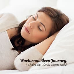 Nocturnal Sleep Journey: A Chilled-Out Nature Insects Sound - HD Nature Sound Library