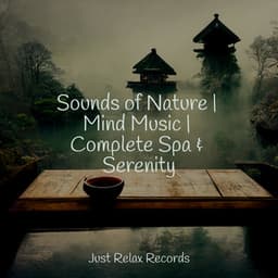 Sounds of Nature | Mind Music | Complete Spa & Serenity - Natural Sounds