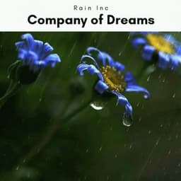 1 Company of Dreams - Rain Inc