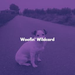 Woofin' Wildcard - Radio de Jazz Suave