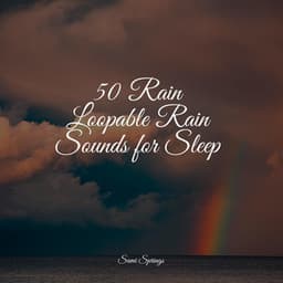 50 Rain Loopable Rain Sounds for Sleep - Rain Sounds & White Noise