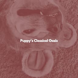 Puppy's Classical Oasis - Harlem Jazz Guitar Quartet
