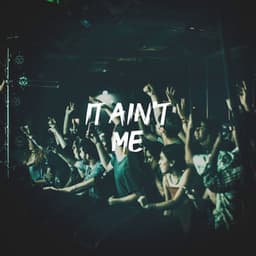 It Ain't Me - Dance Hits 2014