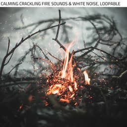 Calming Crackling Fire Sounds & White Noise, Loopable - Fire Sounds