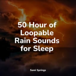 50 Hour of Loopable Rain Sounds for Sleep - Exam Study Classical Music
