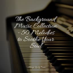 The Most Beautiful Sounds - 50 Soothing Piano Melodies - Relaxing Piano Jazz Music Ensemble