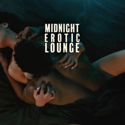 Midnight Erotic Lounge - The Chillout Players