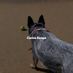 Canine Escape - Música para Cafeterías