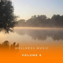 Wellness Music Vol. 6 - Soothing Sounds