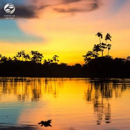 Amazonian Aura - Mother Nature Ambience