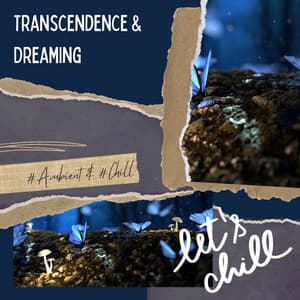 Transcendence & Dreaming - Ambient 11, Serenity Calls