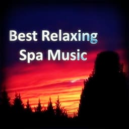 Best Relaxing Spa Music - Meditation Spa