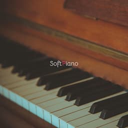 Soft Piano Music for Relaxation, Sleep, Study - Soft Piano