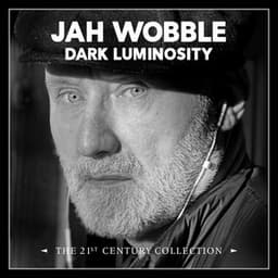 Dark Luminosity: The 21st Century Collection - Jah Wobble