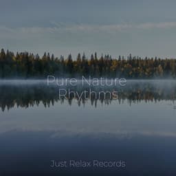 Pure Nature Rhythms - Lullabies for Deep Meditation